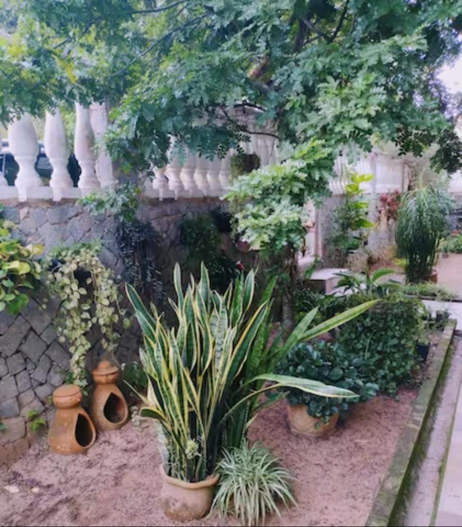 Cantinho Da Vovo Regina Miguel Pereira Exterior photo